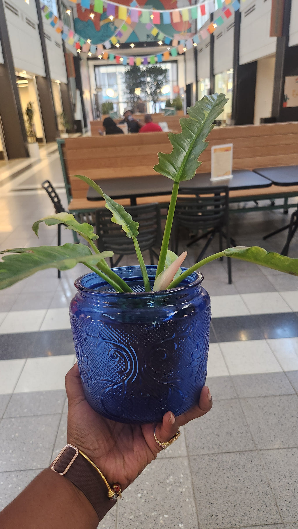 Blue glass cookie Jar